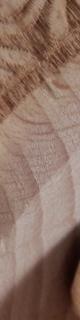tribal detail